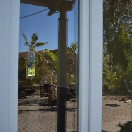 Palmengarten * Finning