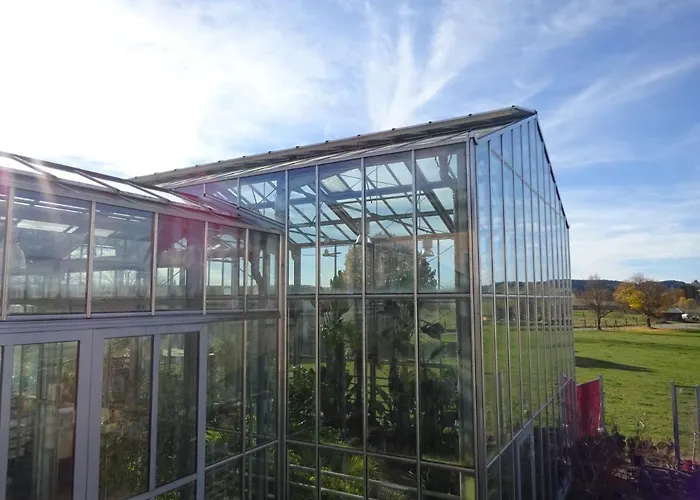 Palmengarten