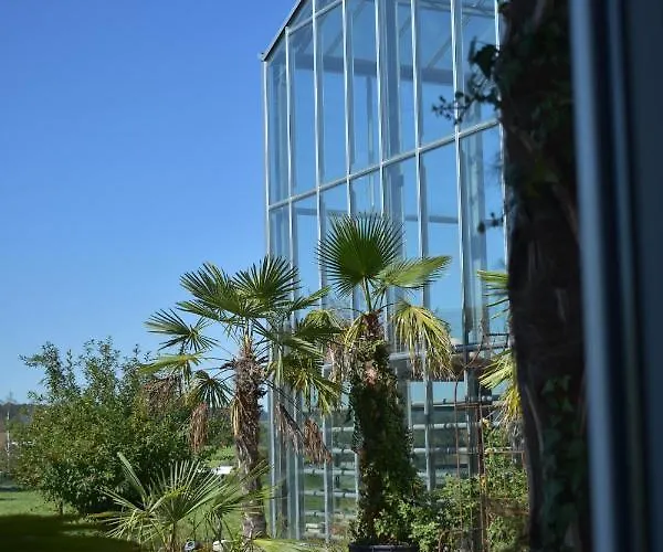 Palmengarten *