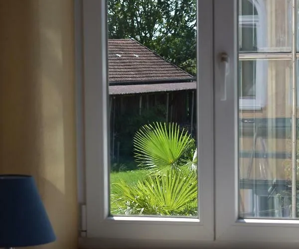 Palmengarten Finning