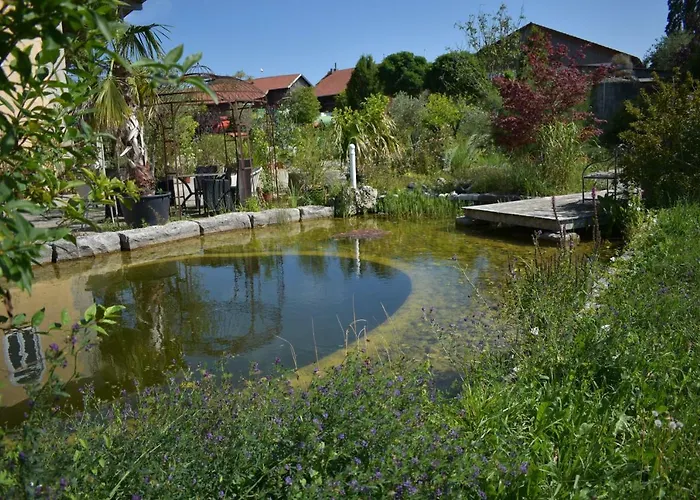 Palmengarten *
