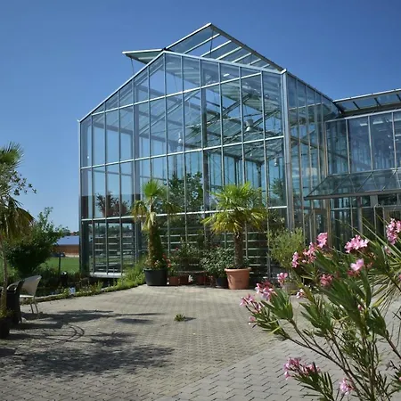 Apartment Palmengarten Finning