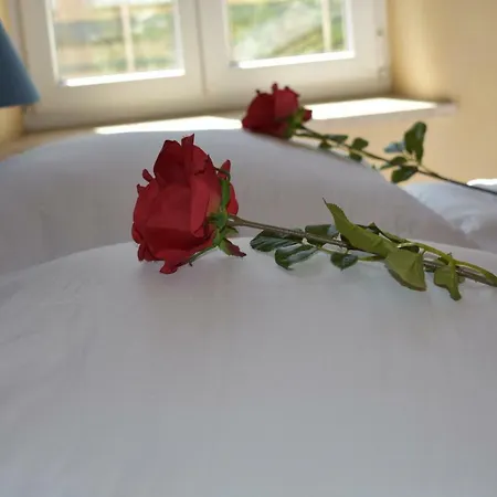 Palmengarten Finning