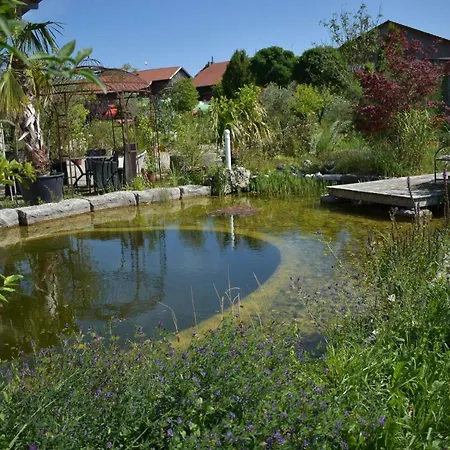 Palmengarten *