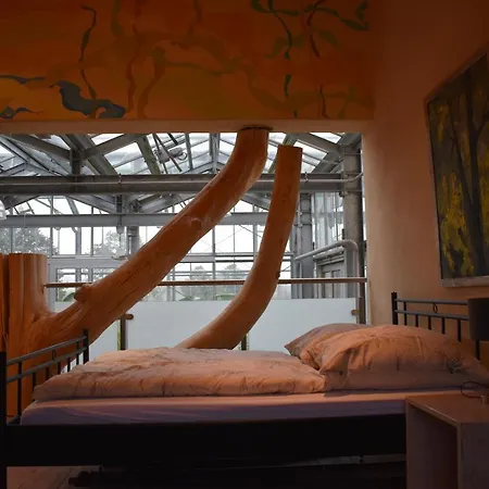 Palmengarten * Finning